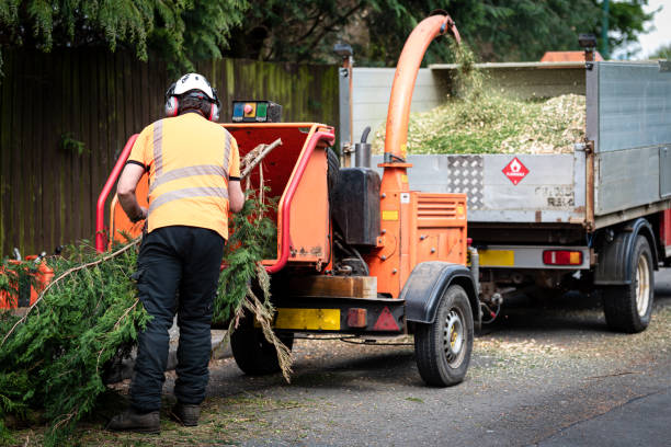 Best Commercial Tree Services  in Granite Hills, CA